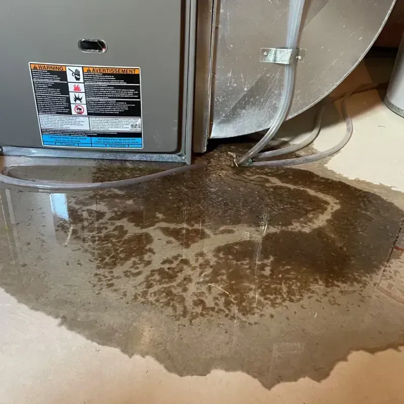 Appliance Leak Cleanup in Astor, FL